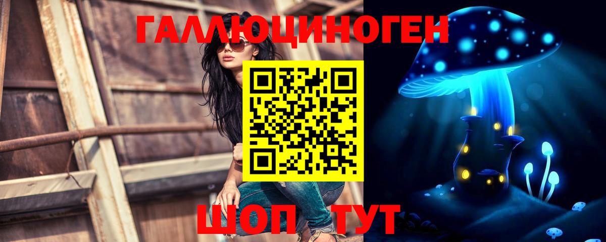 Псилоцибиновые грибы мицелий Йошкар-Ола